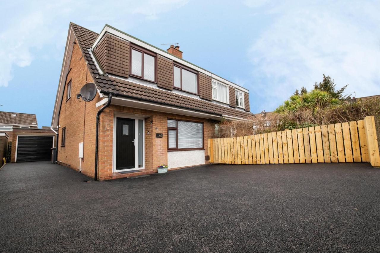 Elegant Home Mod Kitchen, Fast Wi-Fi, Free Parking Carrickfergus Exterior photo